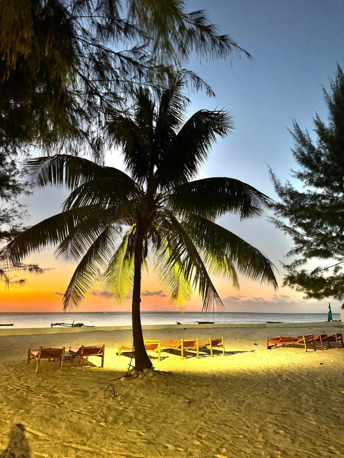 Bahati Sunset Bungalows Michamvi Ngoại thất bức ảnh