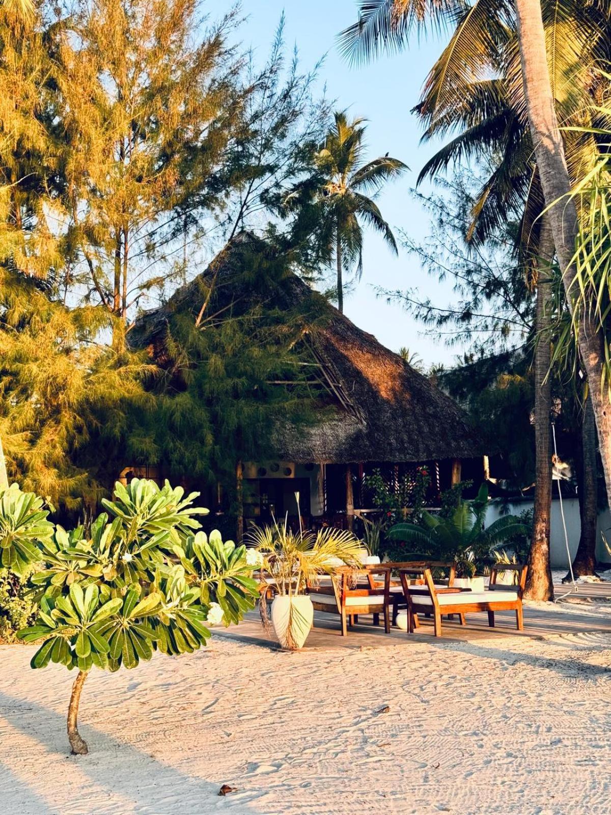 Bahati Sunset Bungalows Michamvi Ngoại thất bức ảnh