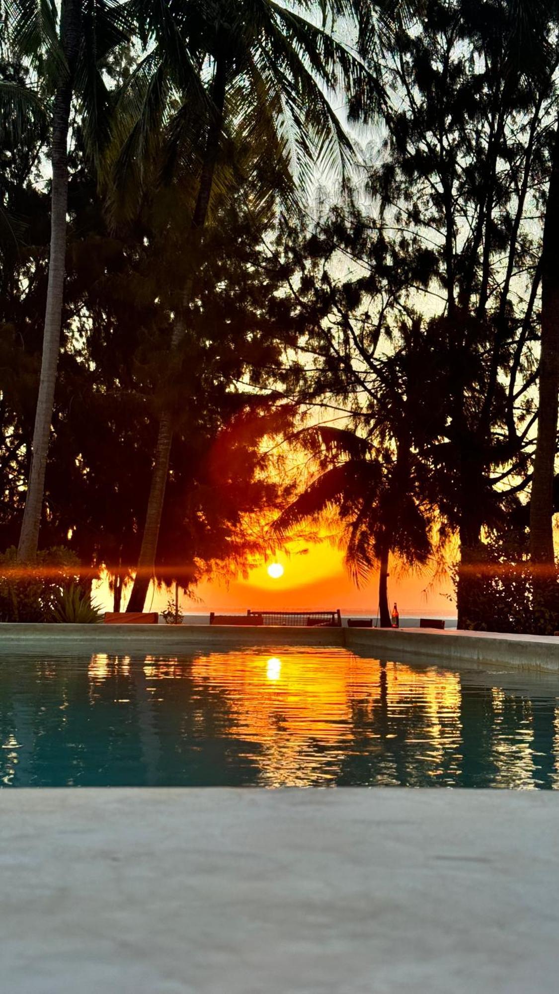 Bahati Sunset Bungalows Michamvi Ngoại thất bức ảnh