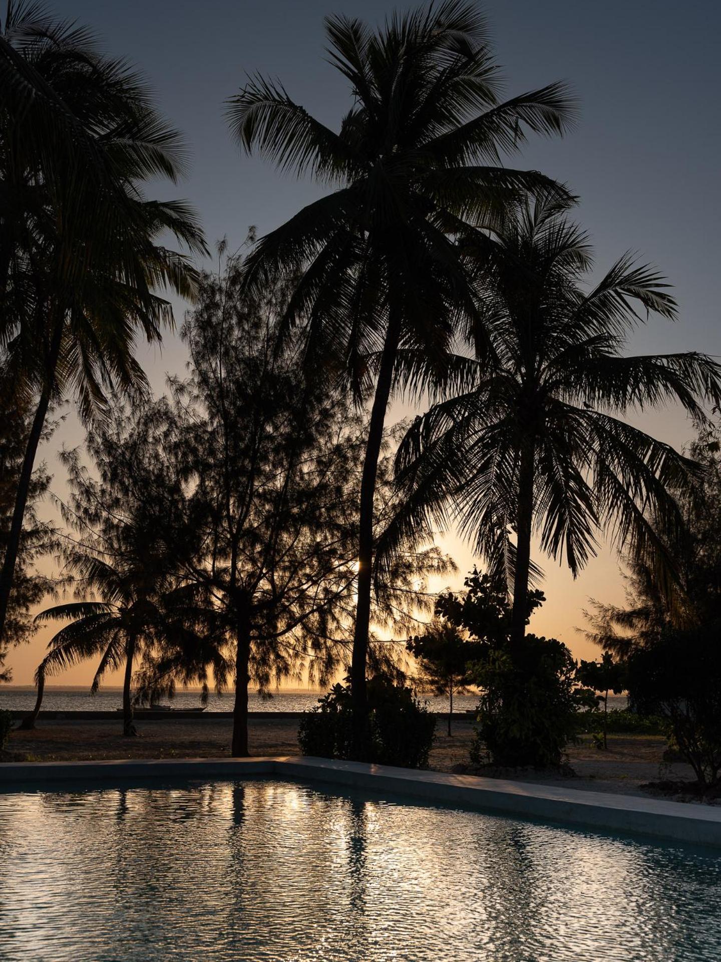 Bahati Sunset Bungalows Michamvi Ngoại thất bức ảnh